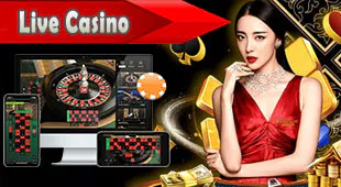 Live Casino